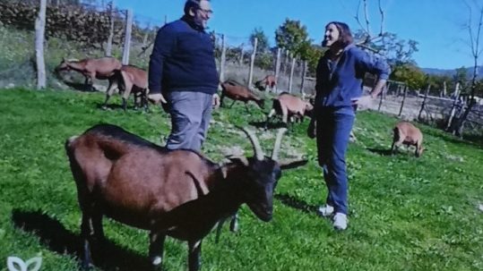Frame del programma con Peppone, Irene e una delle capre