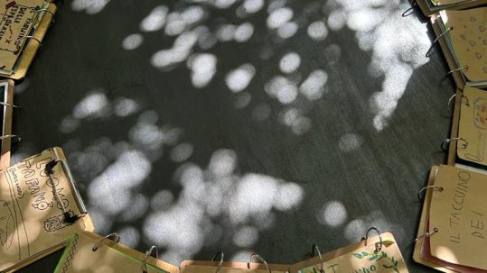 I taccuini da naturalisti realizzati durante la settimana