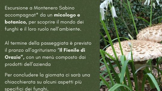Locandina dell'evento Andiamo a funghi