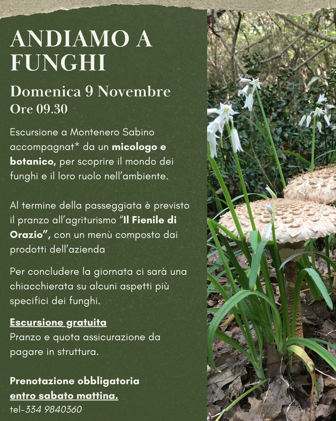 Locandina dell'evento Andiamo a funghi